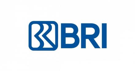 Ikuti solusi Cara buka blokir BRImo tanpa ke bank layanan cara atasi akun BRImo terblokir