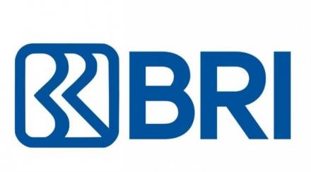 Simak Cara Buka Blokir BRImo Terblokir Karena Salah PIN